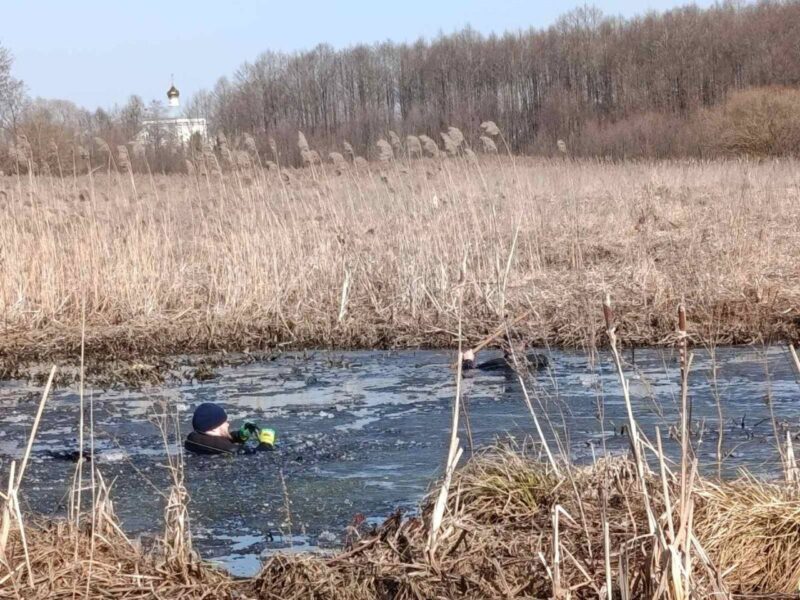 Под Дятлово