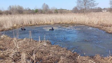 Под Дятлово
