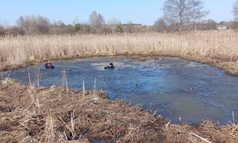 Под Дятлово