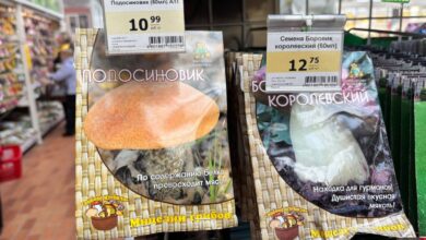 стоит ли покупать наборы