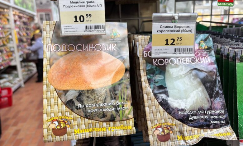 стоит ли покупать наборы