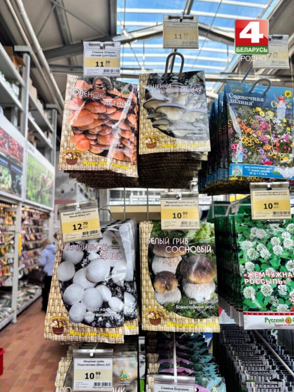 стоит ли покупать наборы