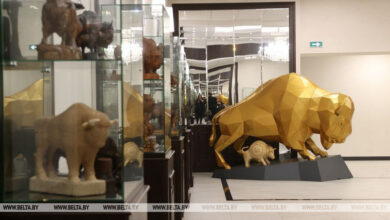 В Бресте создали единственный в