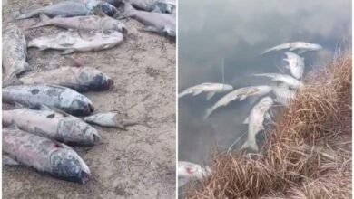 Озеро Лазурное под Волковыском