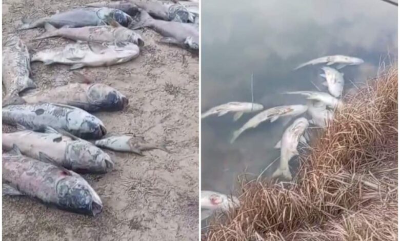 Озеро Лазурное под Волковыском