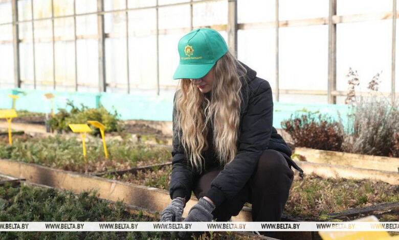 В Ивацевичах вырастят сеянцы