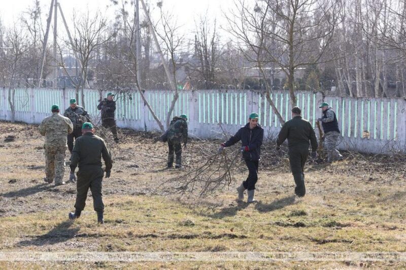 В Ивацевичах вырастят сеянцы