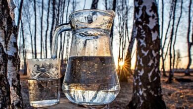 Запретили ли