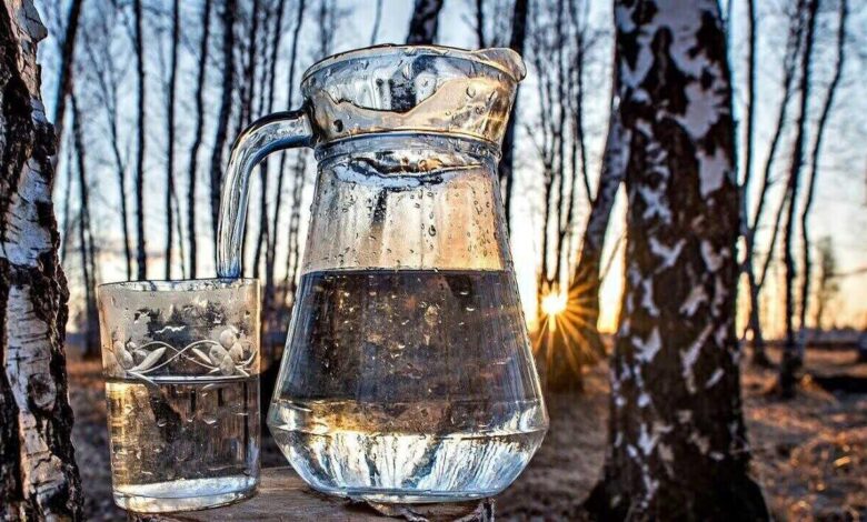 Запретили ли