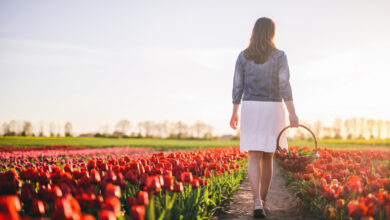 Белорусов приглашают на экскурсию