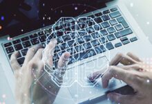 в белорусских вузах