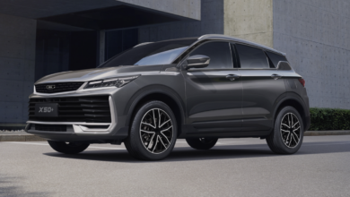 BELGEE назвал цены