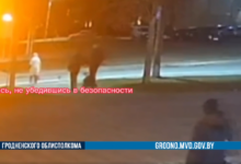 Трагедия на пешеходном переходе