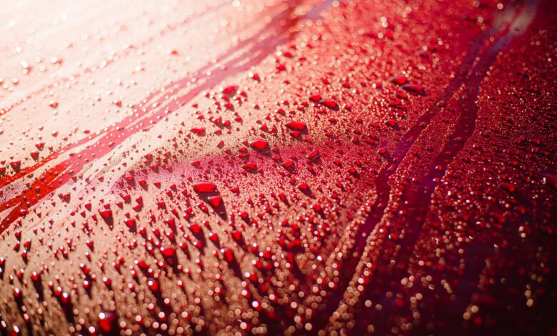 Житель Слонима выбросил вино