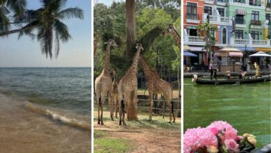 что не понравилось белорусам