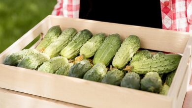 белорусские фермеры