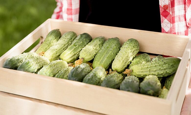 белорусские фермеры