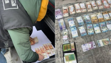 главный ветврач птицефабрики