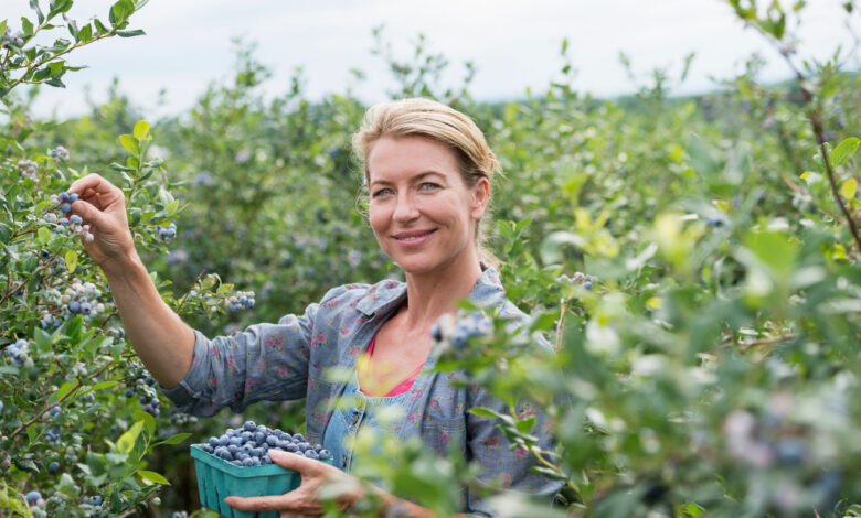 Под Гродно продают ферму с плантацией
