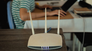 Больше чем людей: в Беларуси