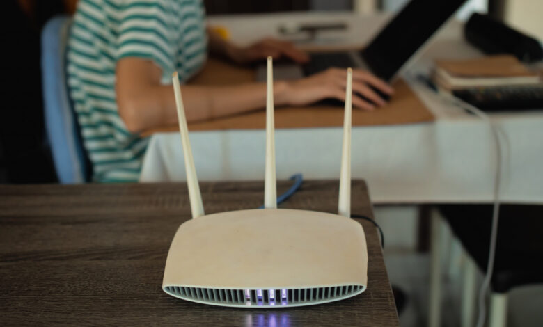 Больше чем людей: в Беларуси