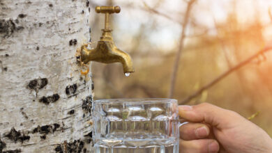 три необычных рецепта заготовки