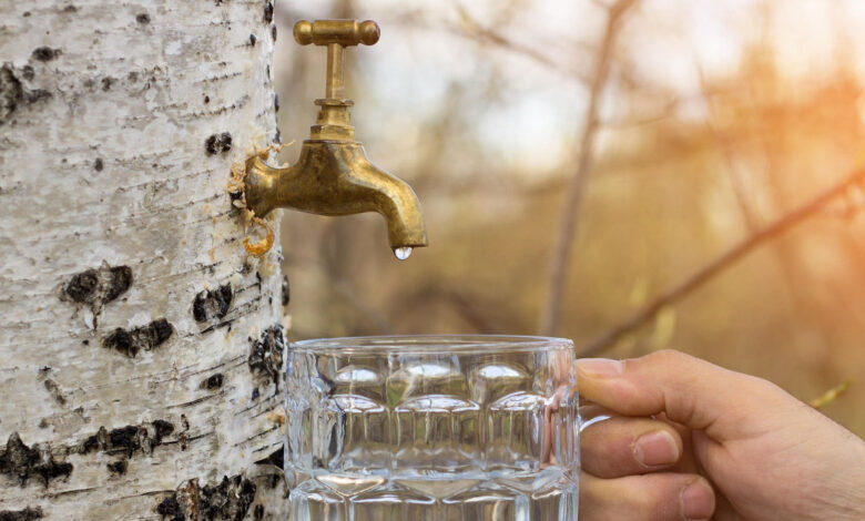 три необычных рецепта заготовки