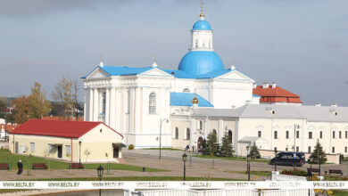 в чем уникальность Жировичского
