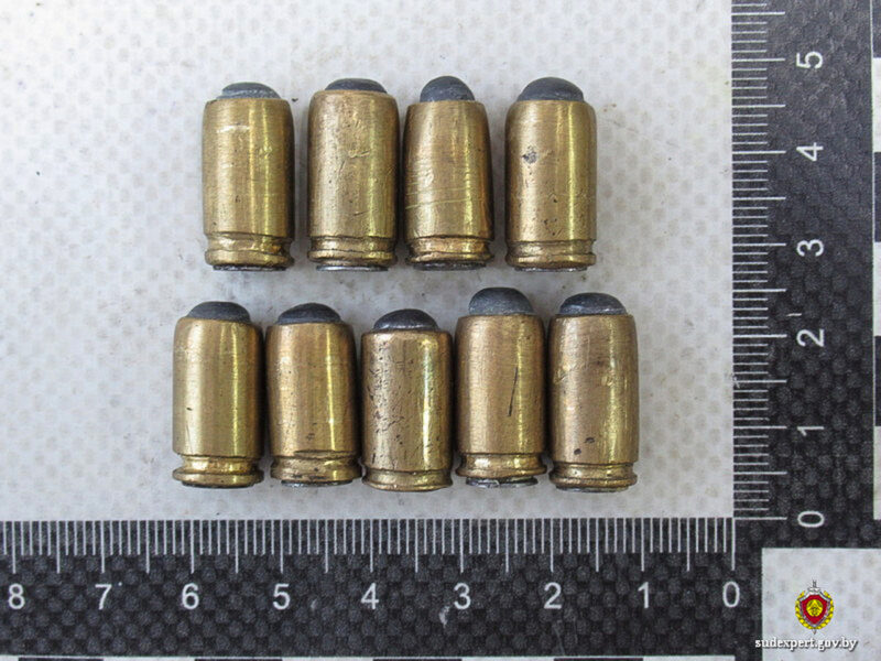 В Мстиславском р-н ликвидировали