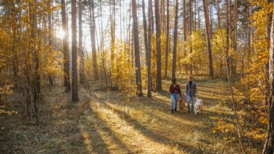 В Волковыске по инициативе властей