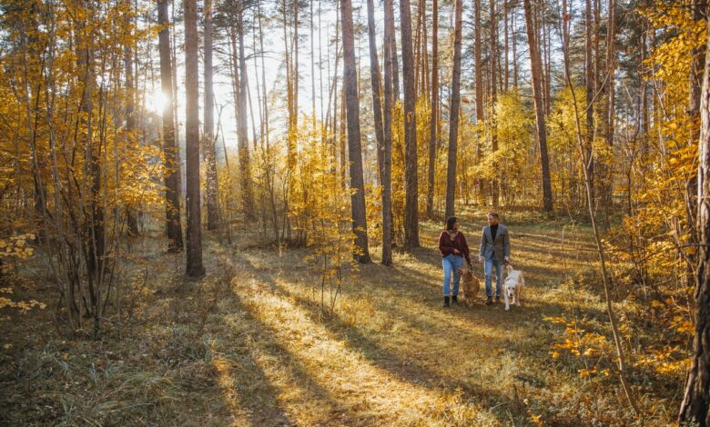 В Волковыске по инициативе властей