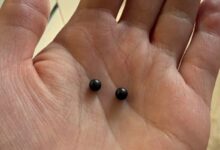 Белоруска обнаружила в булочке