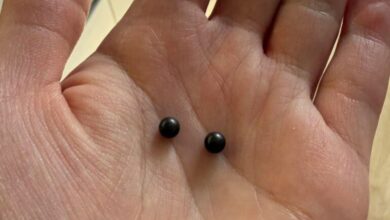 Белоруска обнаружила в булочке