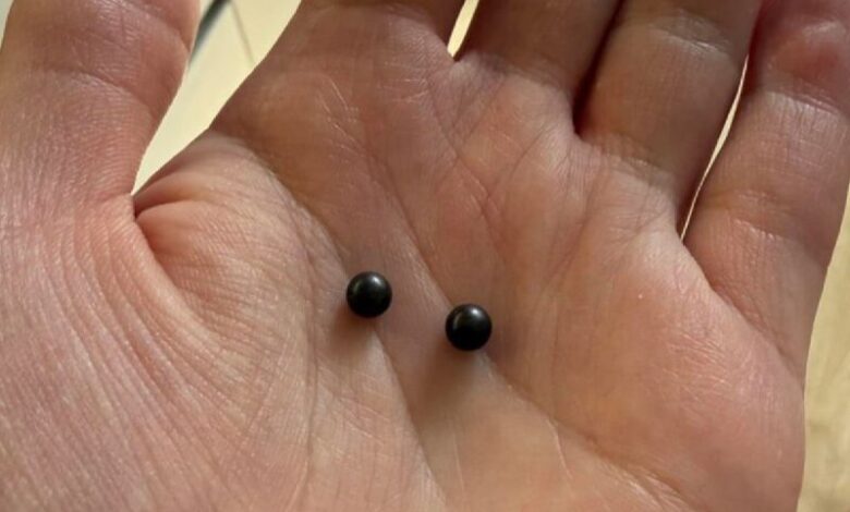 Белоруска обнаружила в булочке