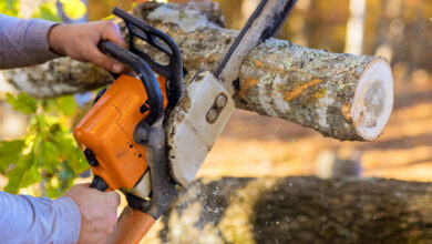 Срубил дерево без спроса?