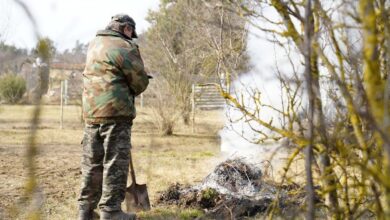 Как навести порядок на участке