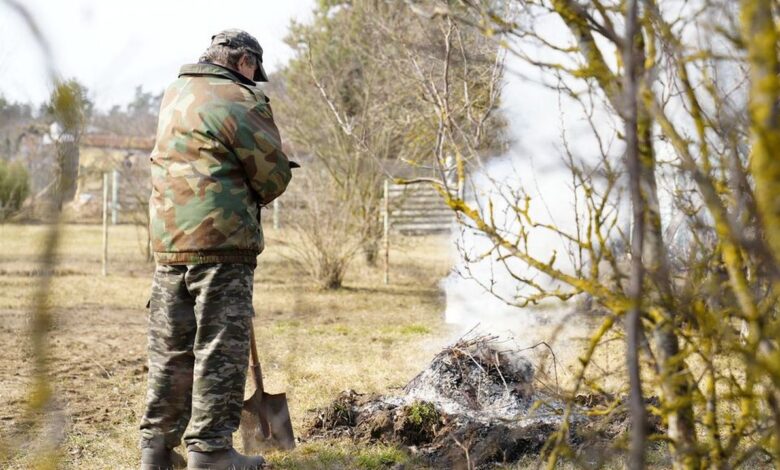 Как навести порядок на участке