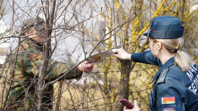 Как навести порядок на участке