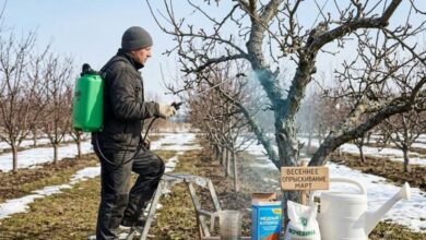 Выходные - время для сада: средство