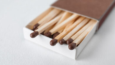 «Борисовдрев» рассказал