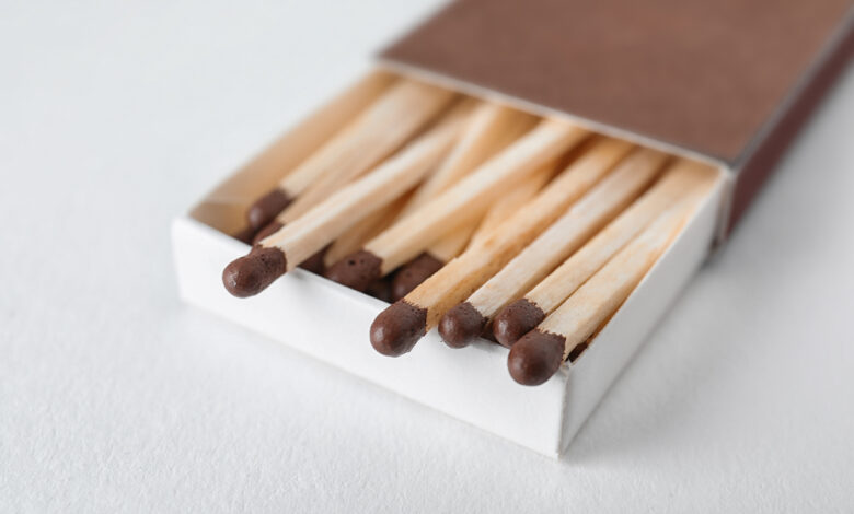 «Борисовдрев» рассказал