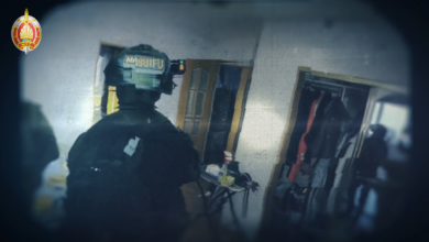 в Витебске задержаны бандиты