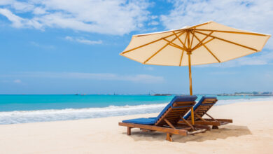 Смогут ли туристы поехать на