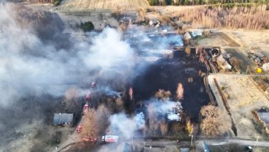 в деревне в Брестской