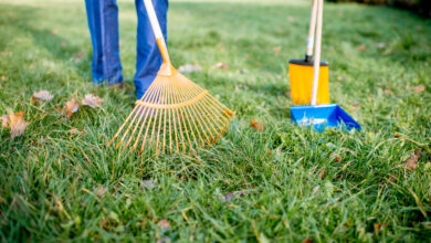 Как привести газон