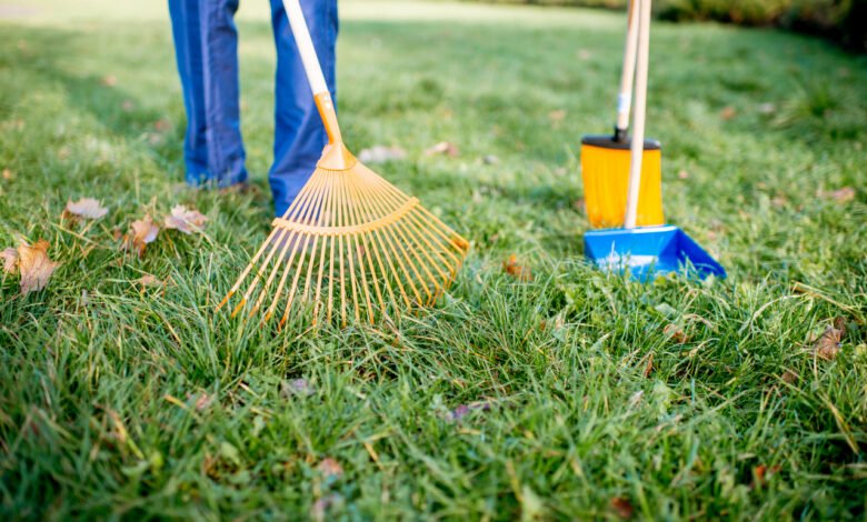 Как привести газон