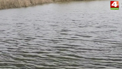 в Гродненском районе