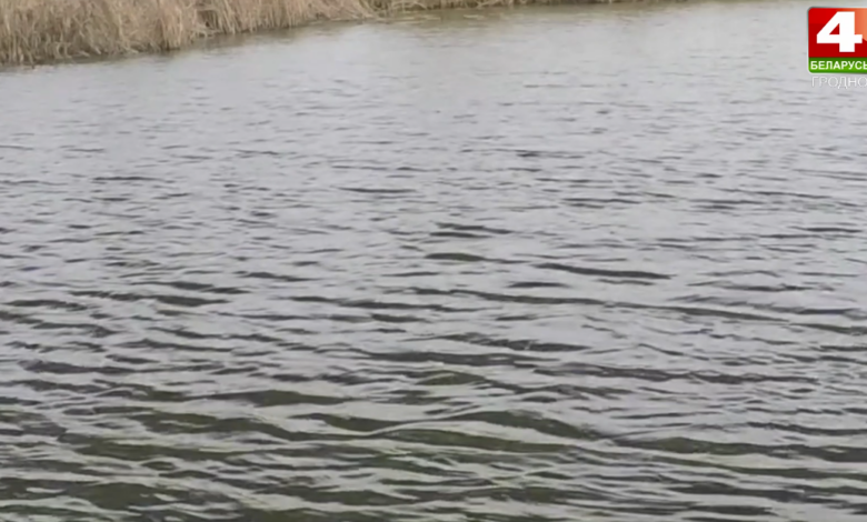 в Гродненском районе