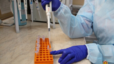 как судэксперты