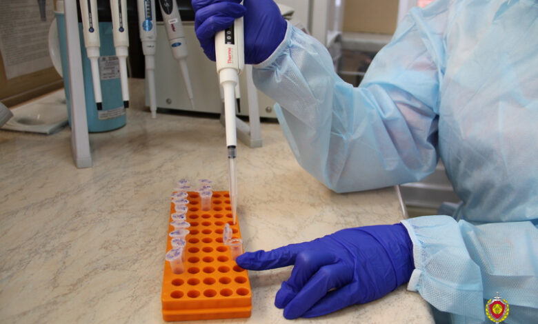 как судэксперты